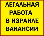 Легальная работа в Израиле вакансии. Без предоплаты за услуги.