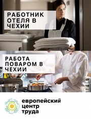 Работник отеля в Чехию